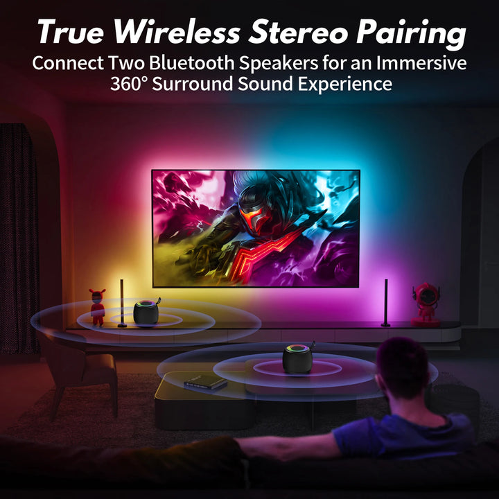 FanFun Karaoke Machine for Adults and Kids, wired Speaker with 1 Microphones, Portable Party Karaoke Speaker with DJ Lights