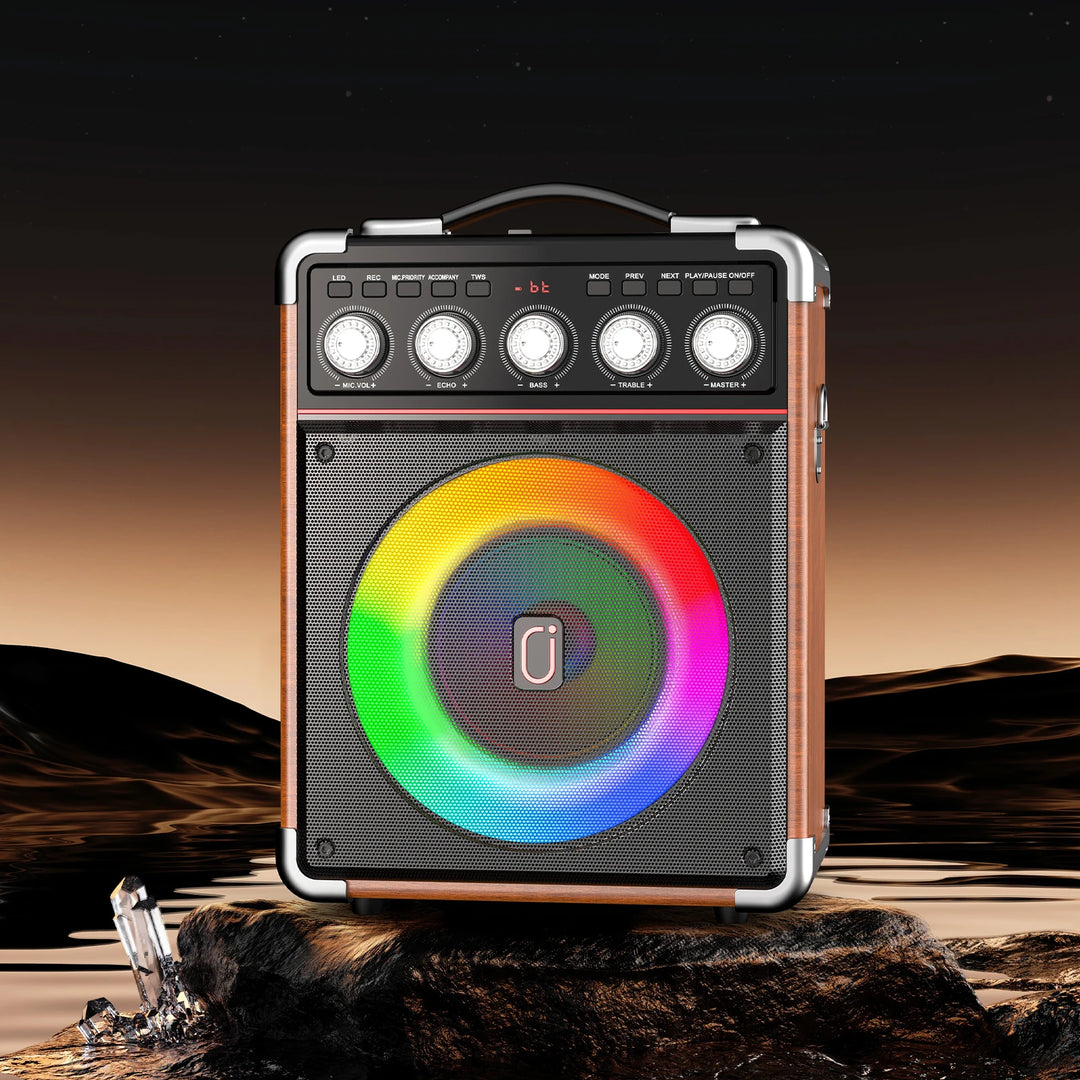 FanFun Portable Speaker Microphones Karaoke Machine with DJ Lighting PA System for Home Singing Adults