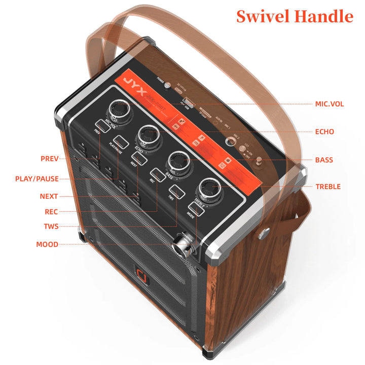 Karaoke Machine with 2 Wireless Microphones, Bluetooth Speaker, PA System & LED Lights for Home Singing Outdoor Party, Music Gifts