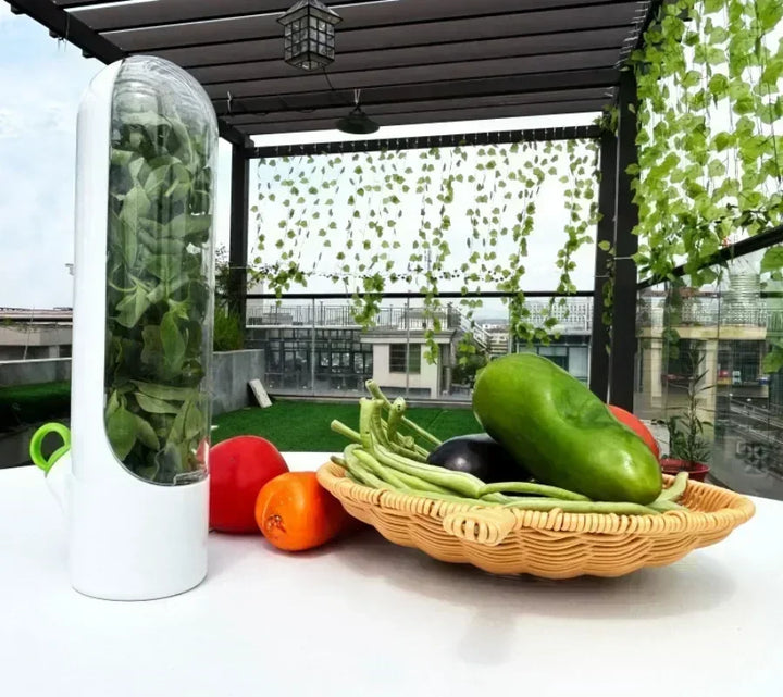 FreshKeep Refrigerator Herb & Vegetable Storage Container