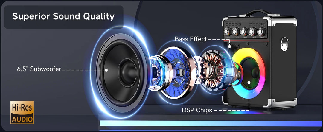 FanFun Karaoke Speaker, Bluetooth Speaker with 2 Microphones and LED Light, Portable Wireless Speaker, Outdoor Party Speaker