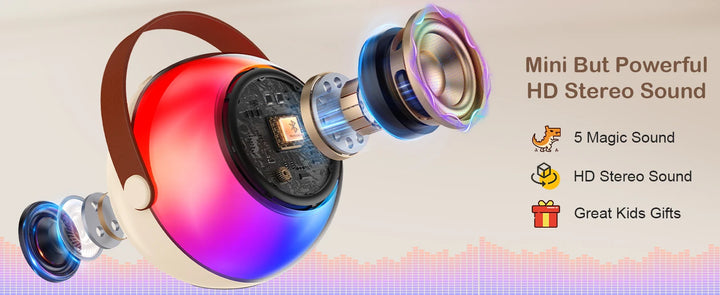 Wireless Microphones & Speaker System with Built-in Mic, LED Lighting Effects, USB-C Fast Charging, Camping, Valentine's Gifts