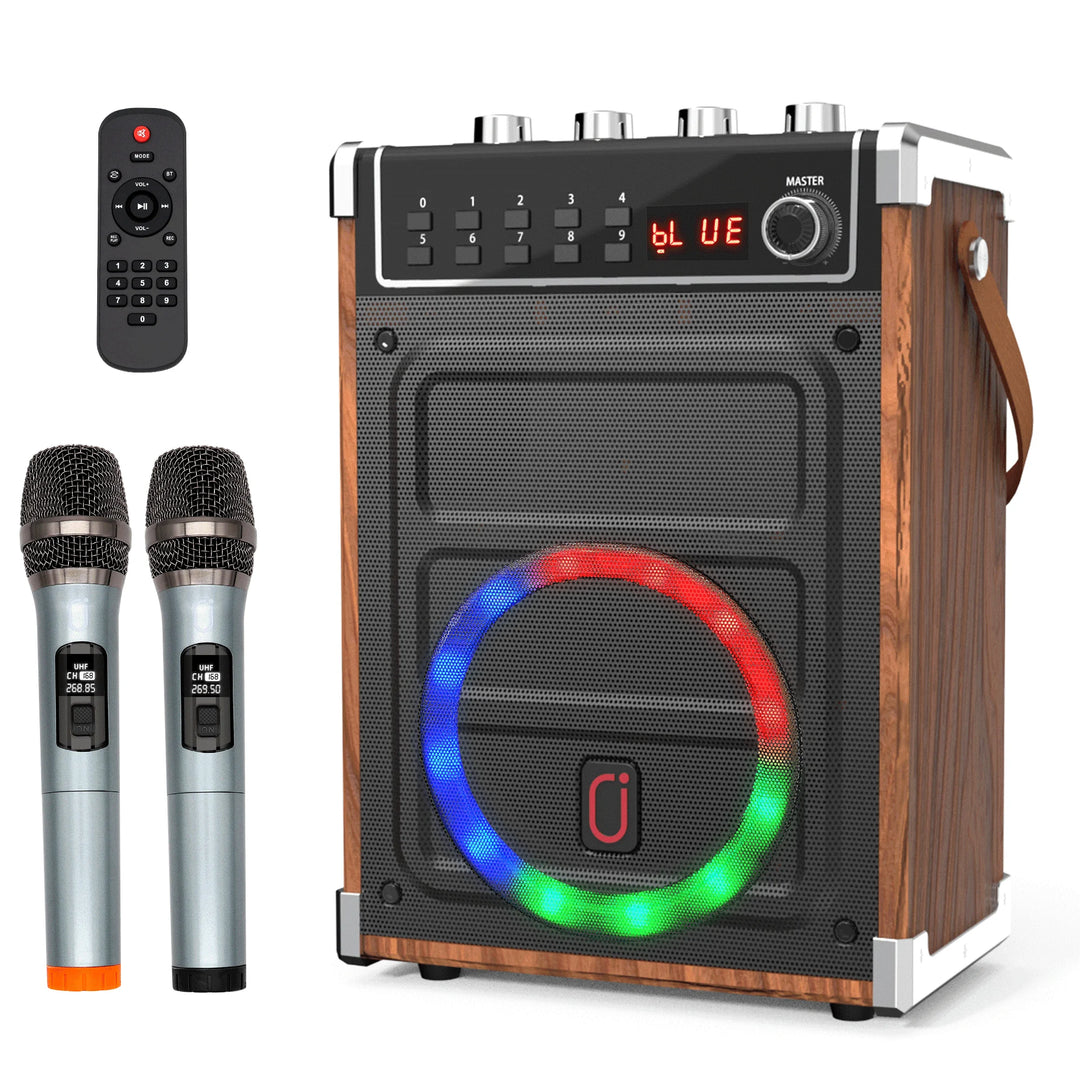 Karaoke Machine with 2 Wireless Microphones, Bluetooth Speaker, PA System & LED Lights for Home Singing Outdoor Party, Music Gifts