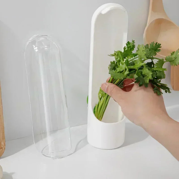 FreshKeep Refrigerator Herb & Vegetable Storage Container