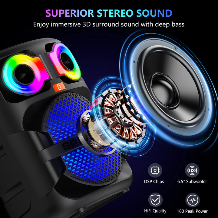 FanFun Karaoke Speaker, Home Karaoke Machine with 2 Microphone, Portable Bluetooth Speaker with LED Party Light, T28-T