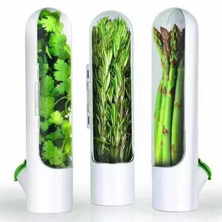 FreshKeep Refrigerator Herb & Vegetable Storage Container